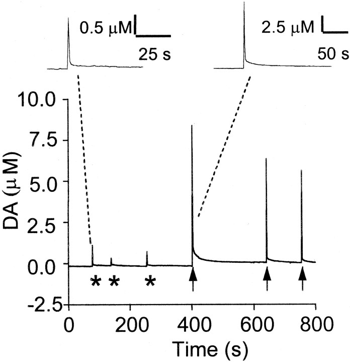 Fig. 3.