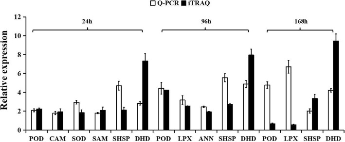 Fig. 6