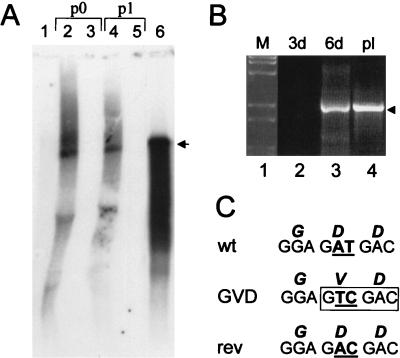 FIG. 4