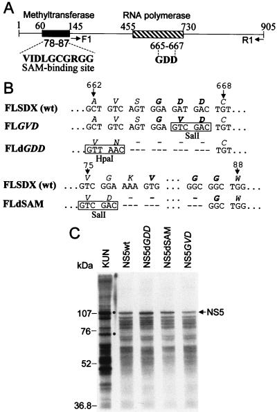 FIG. 3