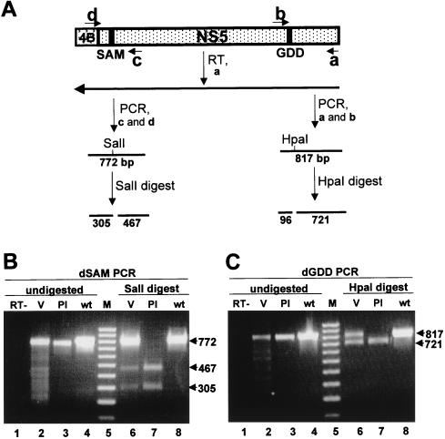 FIG. 7