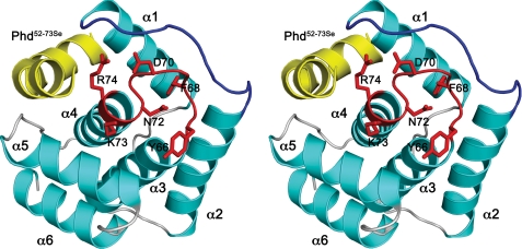 FIGURE 1.