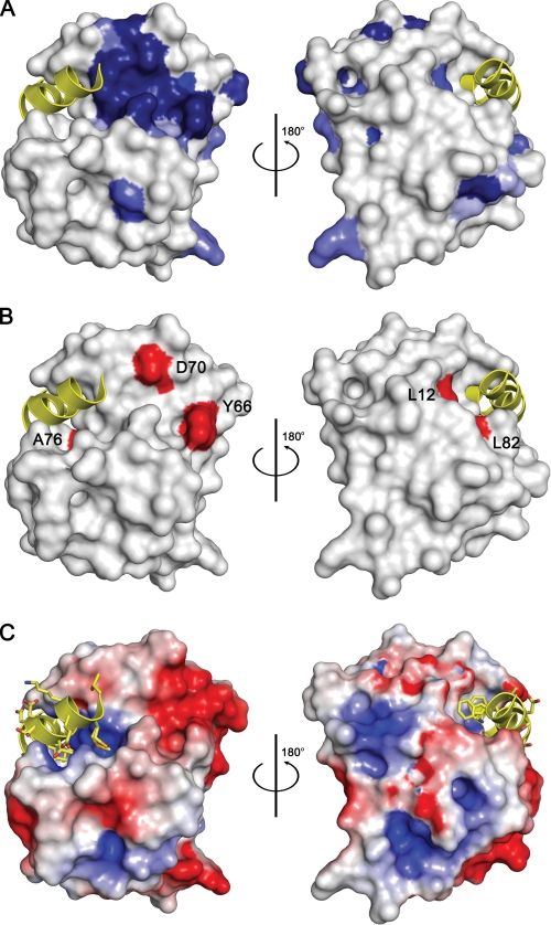 FIGURE 2.