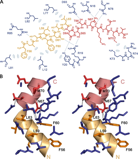 FIGURE 4.