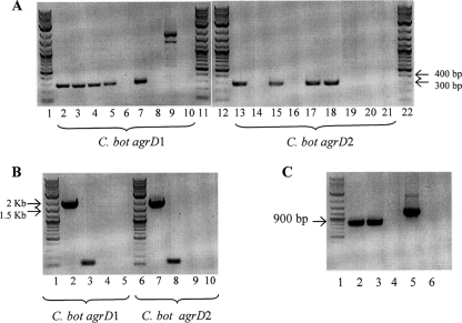 FIG. 7.