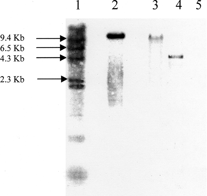 FIG. 8.