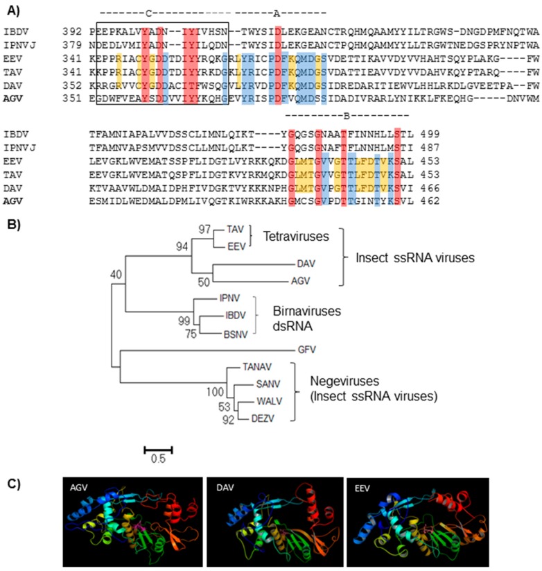 Figure 2