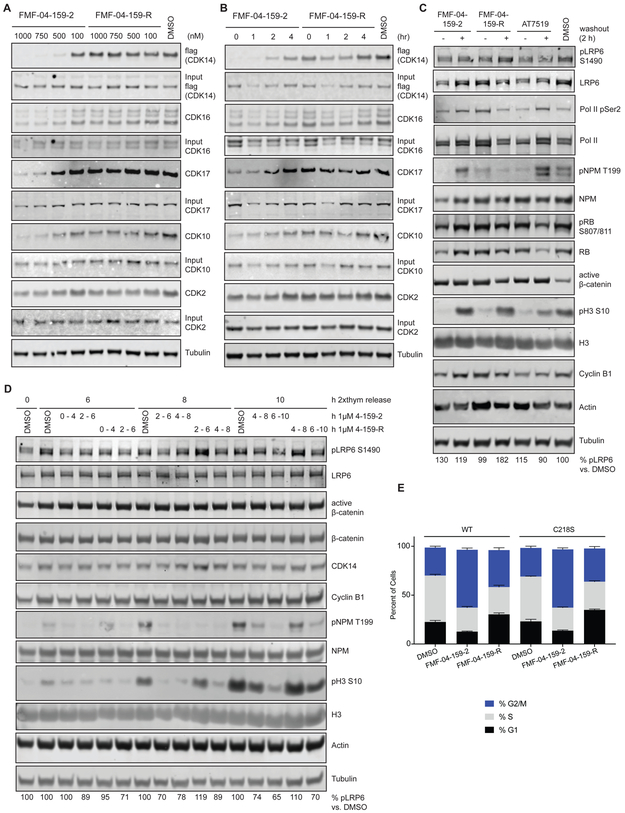 Figure 4: