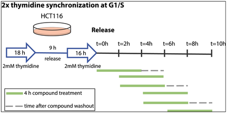 graphic file with name nihms-1524422-f0002.jpg