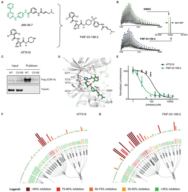 Figure 2: