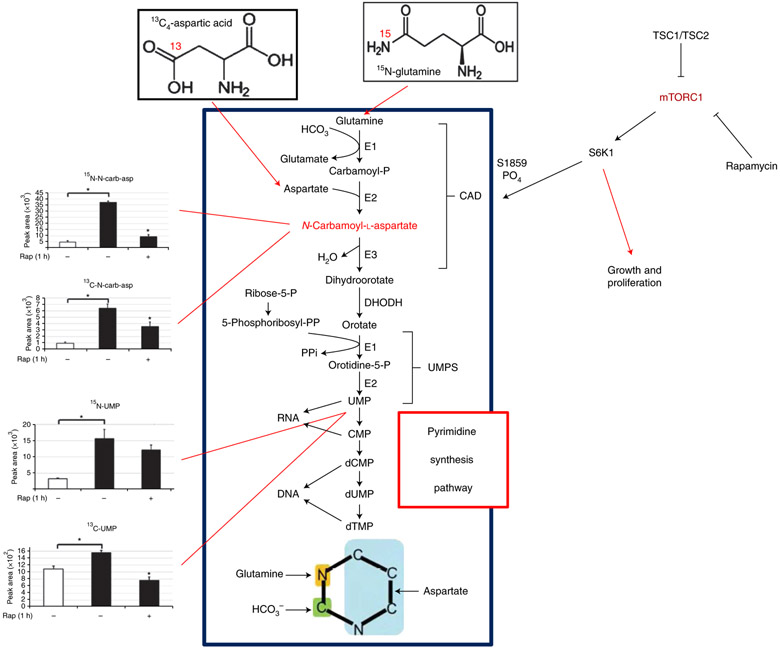 Fig. 4 ∣