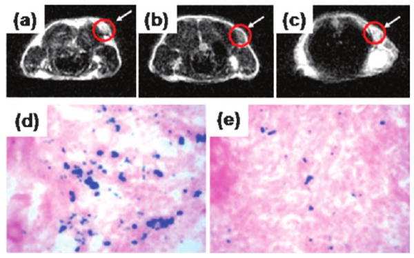 Fig. 9