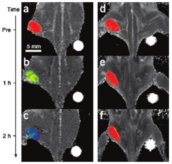 Fig. 8