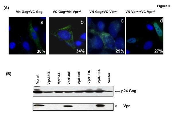 Figure 5