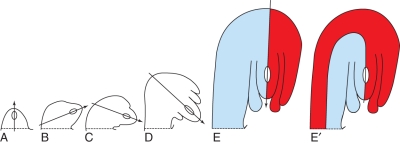 Fig. 2.