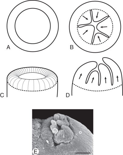 Fig. 11.