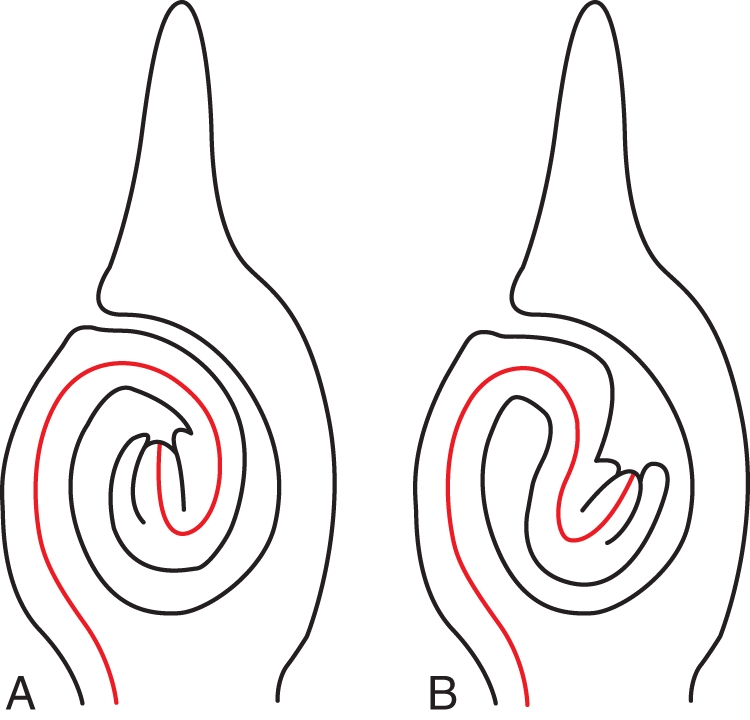 Fig. 8.