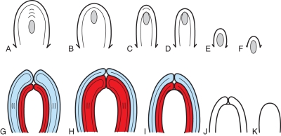 Fig. 10.