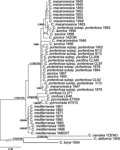 Fig. 2