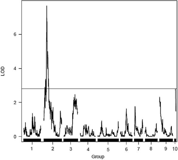 Fig. 6