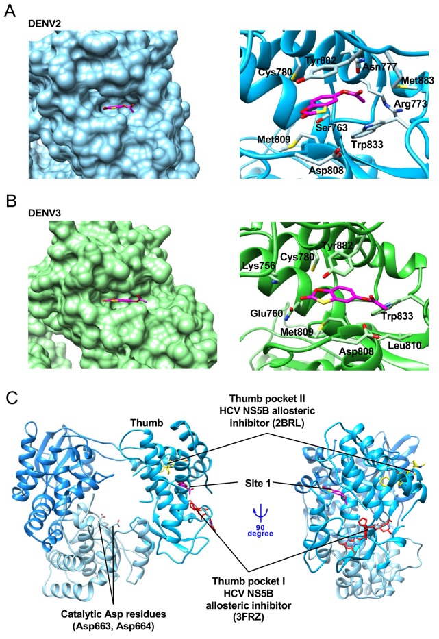 Fig 3