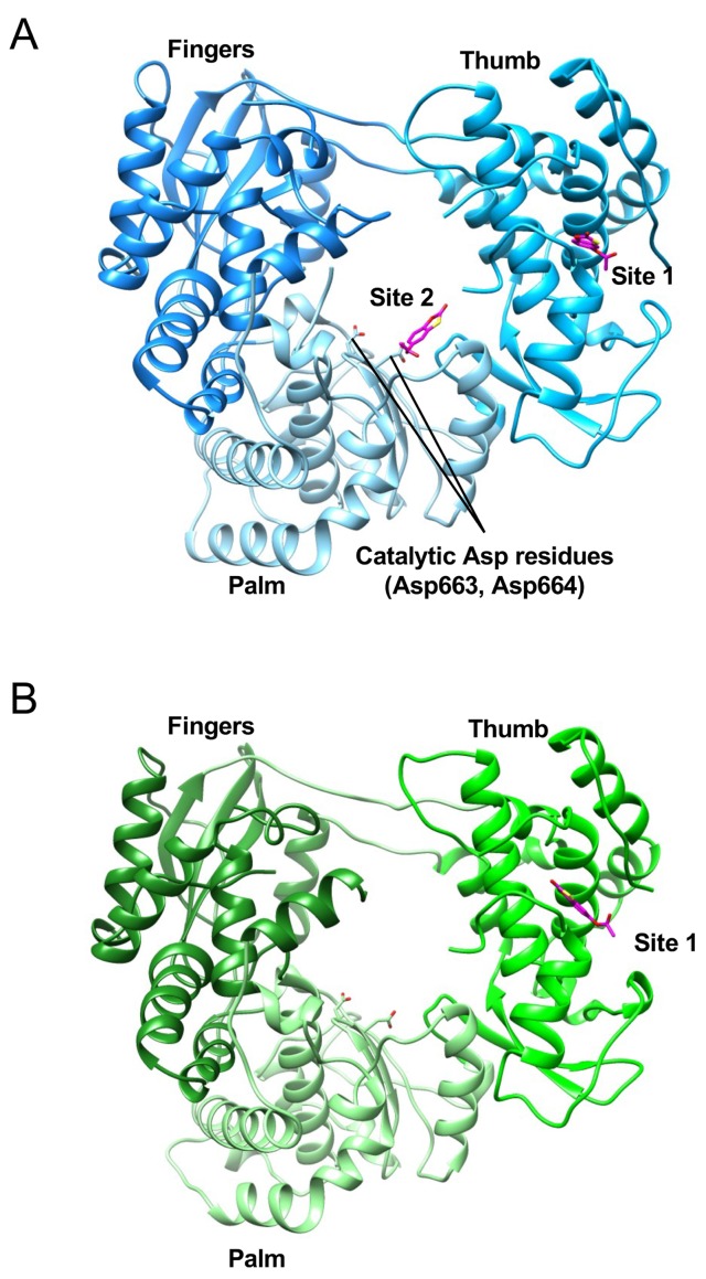 Fig 2