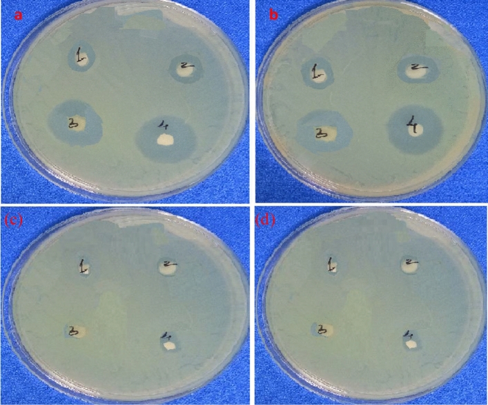 Figure 17