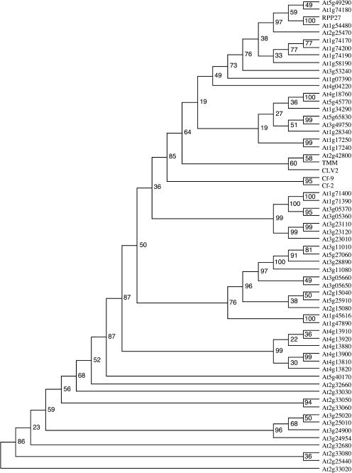 Figure 5.