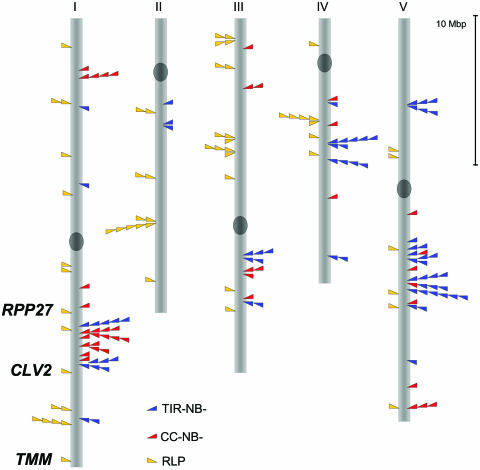 Figure 6.