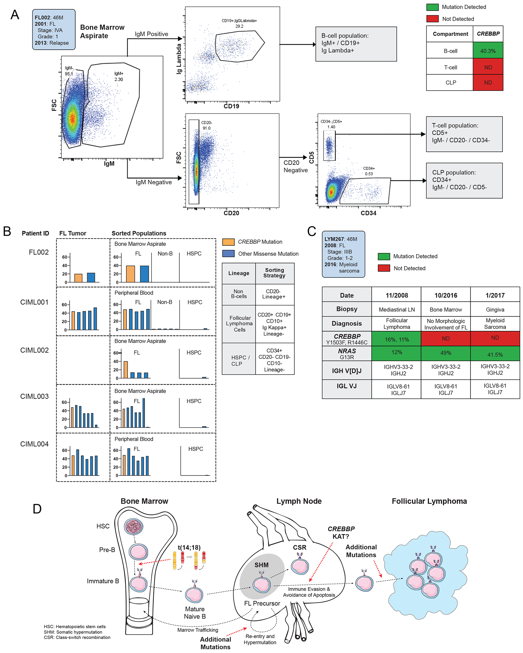 Figure 4)