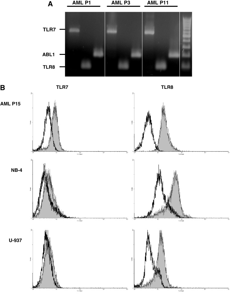 Fig. 1