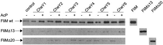 FIG. 5.