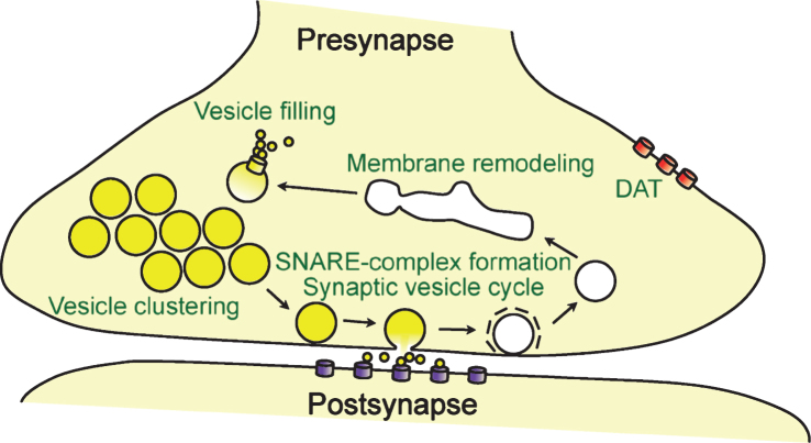 Fig.3