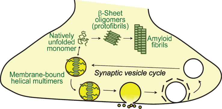 Fig.2