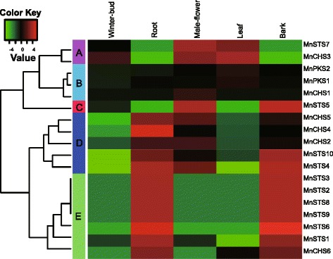 Fig. 6