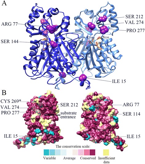 Fig. 4