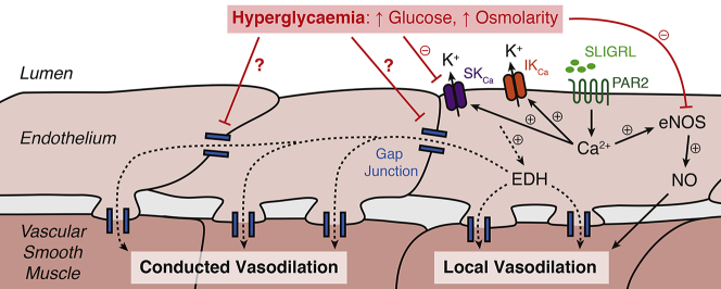 Unlabelled Image