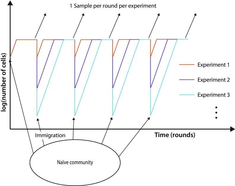 Fig. 1.