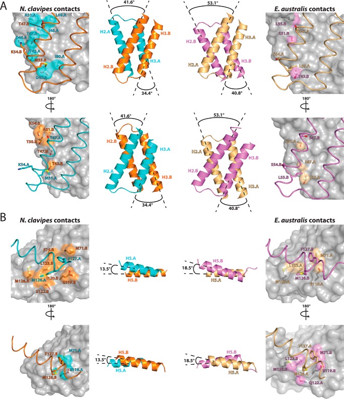 FIGURE 4.