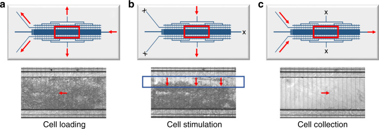 Fig. 7