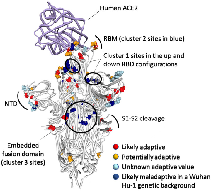 Figure 3.