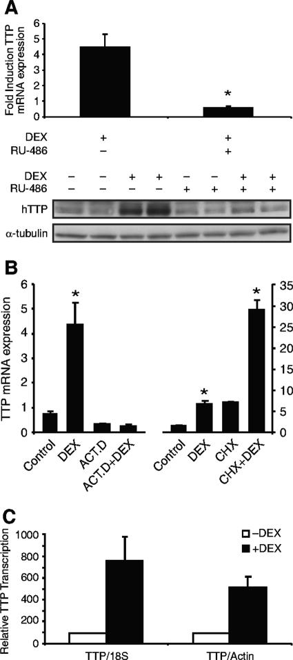 FIG.3.