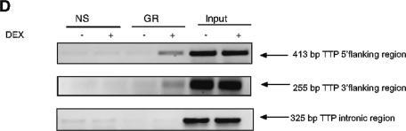 FIG.3.