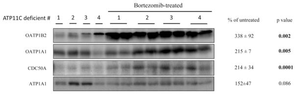 FIG. 7