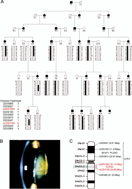 Figure  1. 