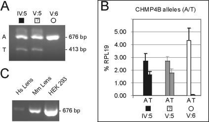 Figure  3. 