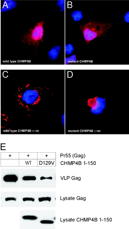 Figure  6. 