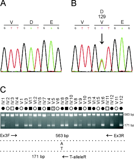 Figure  2. 