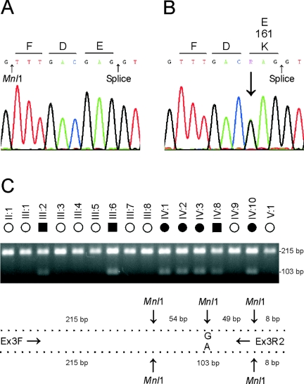 Figure  4. 