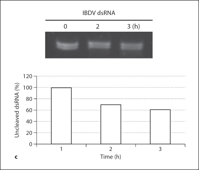 Fig. 5. a